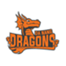 Danang Dragons