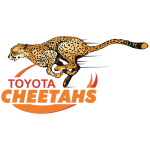 Cheetahs